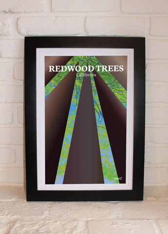 Redwoods Trees